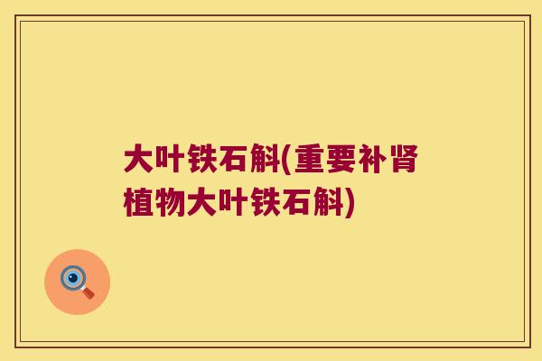 大叶铁石斛(重要补肾植物大叶铁石斛)