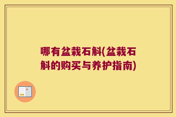 哪有盆栽石斛(盆栽石斛的购买与养护指南)