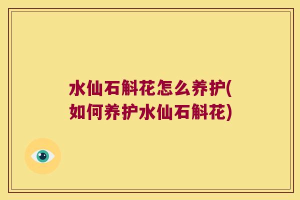 水仙石斛花怎么养护(如何养护水仙石斛花)