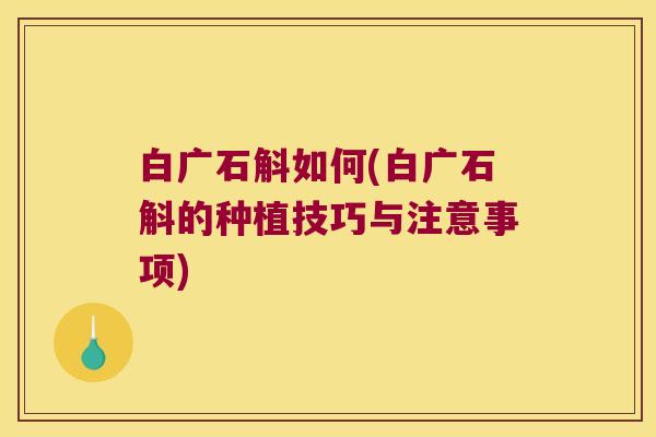 白广石斛如何(白广石斛的种植技巧与注意事项)