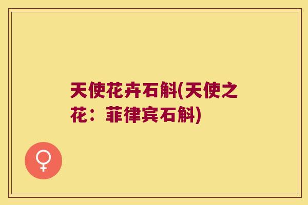 天使花卉石斛(天使之花：菲律宾石斛)