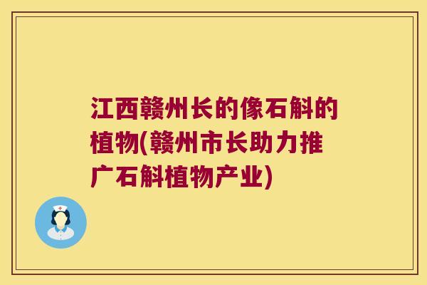 江西赣州长的像石斛的植物(赣州市长助力推广石斛植物产业)