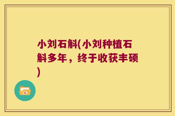 小刘石斛(小刘种植石斛多年，终于收获丰硕)