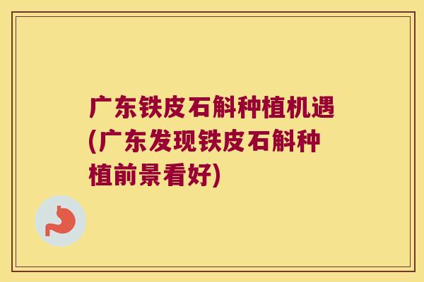 广东铁皮石斛种植机遇(广东发现铁皮石斛种植前景看好) 广东铁皮石斛种植机遇(广东发现铁皮石斛种植前景看好)
