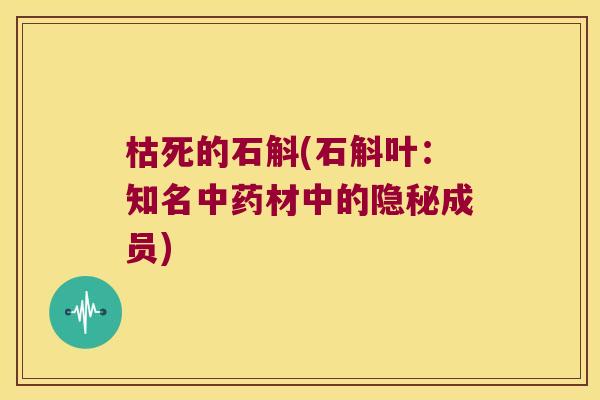 枯死的石斛(石斛叶：知名中药材中的隐秘成员)