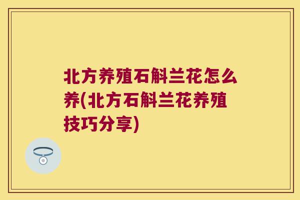 北方养殖石斛兰花怎么养(北方石斛兰花养殖技巧分享)