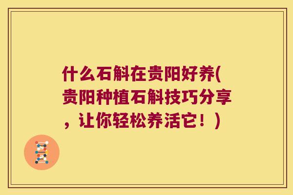 什么石斛在贵阳好养(贵阳种植石斛技巧分享，让你轻松养活它！)