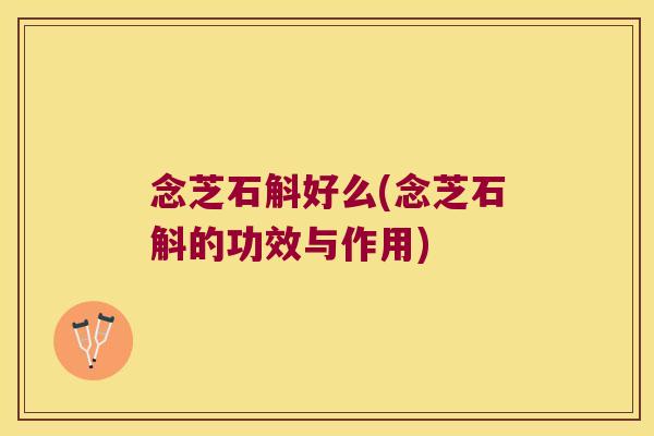 念芝石斛好么(念芝石斛的功效与作用)