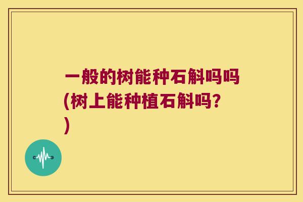一般的树能种石斛吗吗(树上能种植石斛吗？)