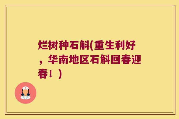 烂树种石斛(重生利好，华南地区石斛回春迎春！)
