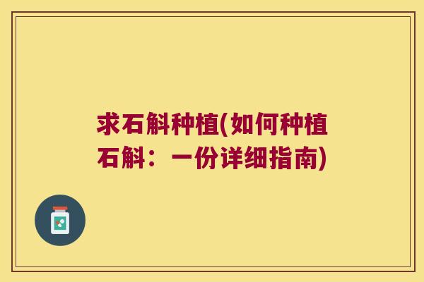 求石斛种植(如何种植石斛：一份详细指南)