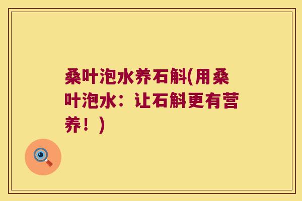 桑叶泡水养石斛(用桑叶泡水：让石斛更有营养！)