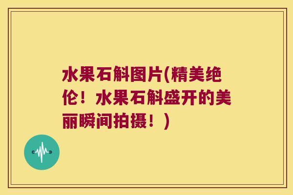 水果石斛图片(精美绝伦！水果石斛盛开的美丽瞬间拍摄！)