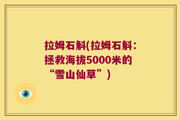 拉姆石斛(拉姆石斛：拯救海拔5000米的“雪山仙草”)