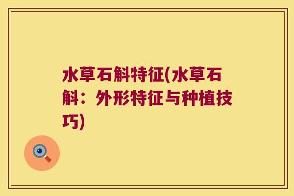 水草石斛特征(水草石斛：外形特征与种植技巧)