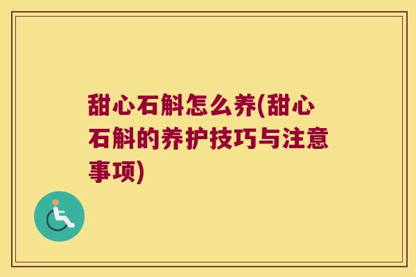 甜心石斛怎么养(甜心石斛的养护技巧与注意事项)