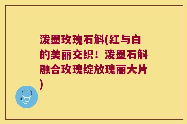 泼墨玫瑰石斛(红与白的美丽交织!泼墨石斛融合玫瑰绽放瑰丽大片) 泼墨玫瑰石斛(红与白的美丽交织!泼墨石斛融合玫瑰绽放瑰丽大片)
