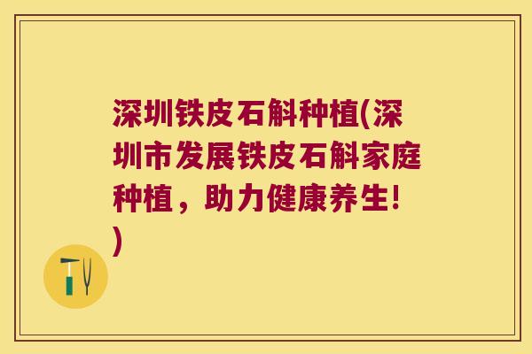 深圳铁皮石斛种植(深圳市发展铁皮石斛家庭种植，助力健康养生!)