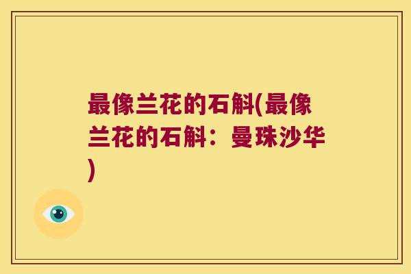 最像兰花的石斛(最像兰花的石斛：曼珠沙华)