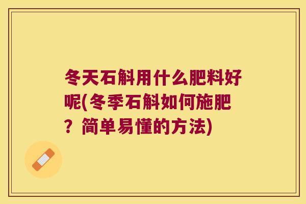 冬天石斛用什么肥料好呢(冬季石斛如何施肥？简单易懂的方法)
