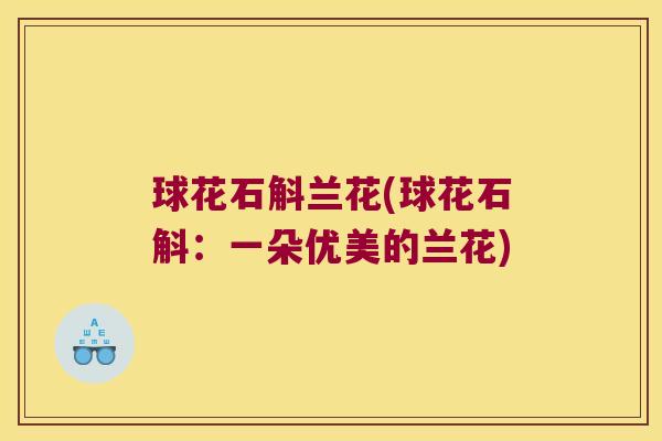 球花石斛兰花(球花石斛：一朵优美的兰花)