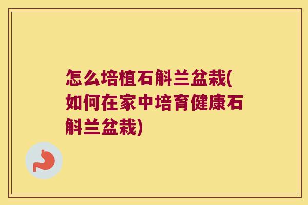 怎么培植石斛兰盆栽(如何在家中培育健康石斛兰盆栽)