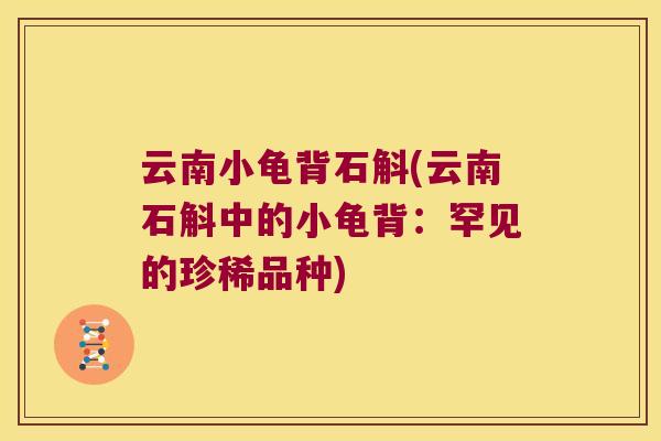 云南小龟背石斛(云南石斛中的小龟背：罕见的珍稀品种)