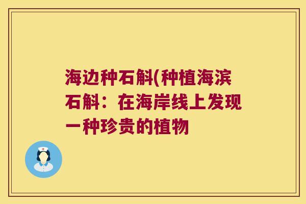 海边种石斛(种植海滨石斛：在海岸线上发现一种珍贵的植物