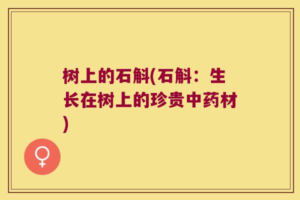 树上的石斛(石斛：生长在树上的珍贵中药材)