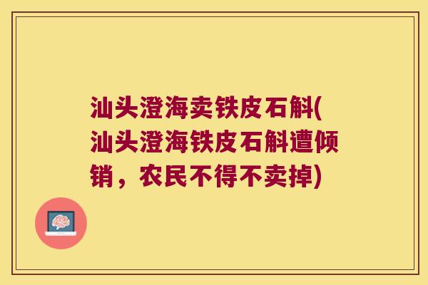 汕头澄海卖铁皮石斛(汕头澄海铁皮石斛遭倾销，农民不得不卖掉)