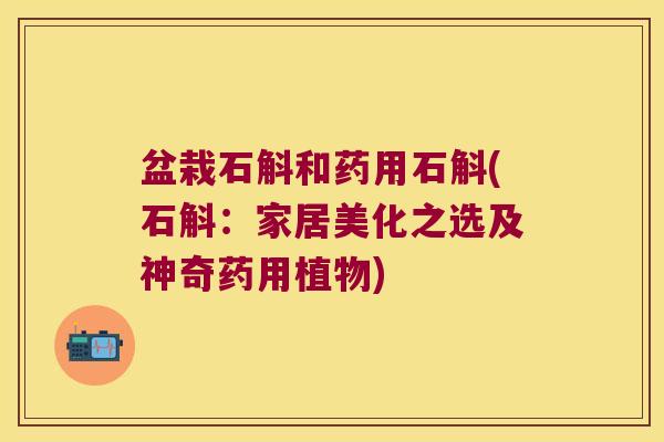 盆栽石斛和药用石斛(石斛：家居美化之选及神奇药用植物)