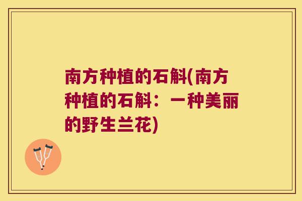 南方种植的石斛(南方种植的石斛：一种美丽的野生兰花)