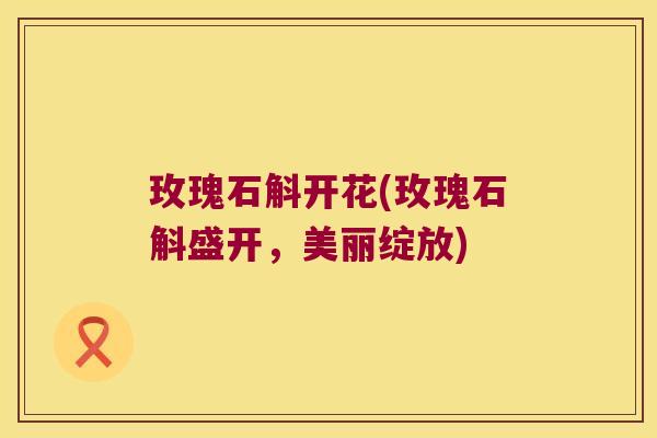 玫瑰石斛开花(玫瑰石斛盛开，美丽绽放)