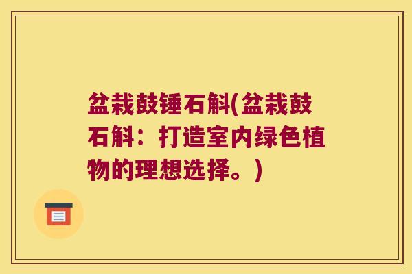 盆栽鼓锤石斛(盆栽鼓石斛：打造室内绿色植物的理想选择。)