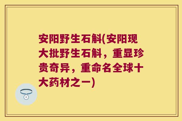 安阳野生石斛(安阳现大批野生石斛，重显珍贵奇异，重命名全球十大药材之一)