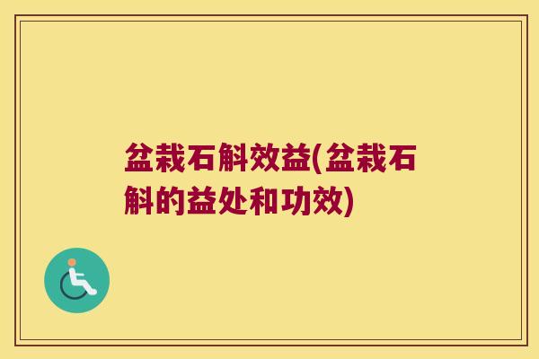 盆栽石斛效益(盆栽石斛的益处和功效)
