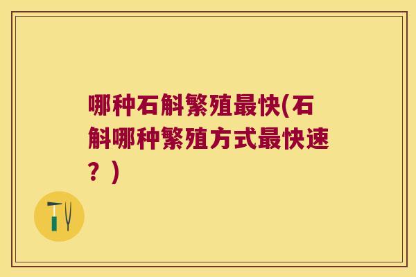 哪种石斛繁殖最快(石斛哪种繁殖方式最快速？)
