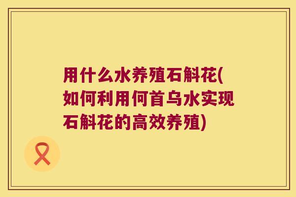 用什么水养殖石斛花(如何利用何首乌水实现石斛花的高效养殖)