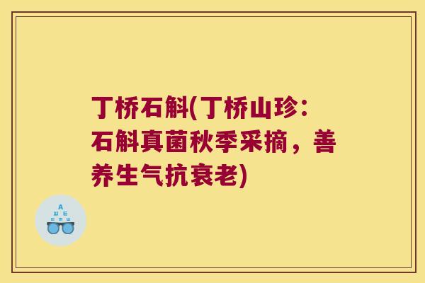 丁桥石斛(丁桥山珍：石斛真菌秋季采摘，善养生气抗衰老)