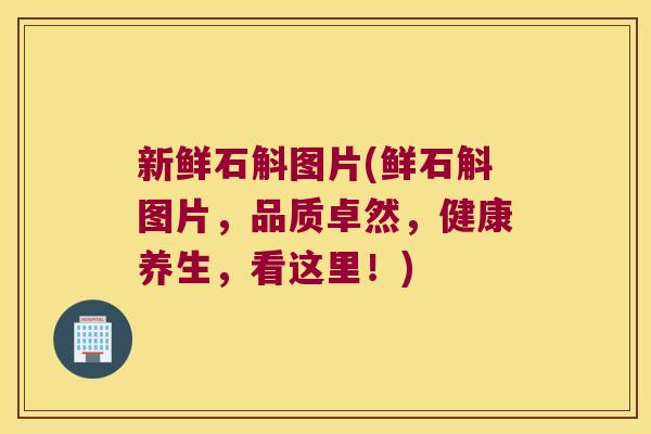 新鲜石斛图片(鲜石斛图片，品质卓然，健康养生，看这里！)