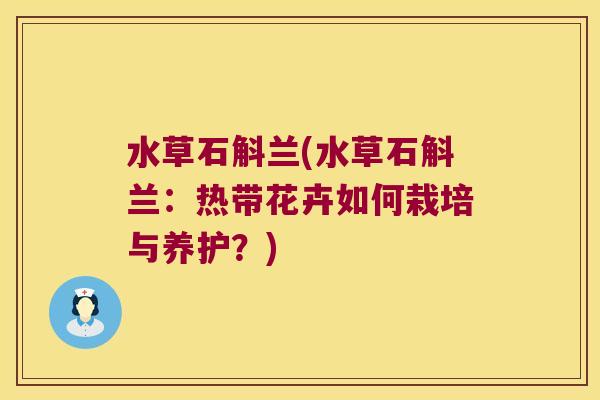 水草石斛兰(水草石斛兰：热带花卉如何栽培与养护？)