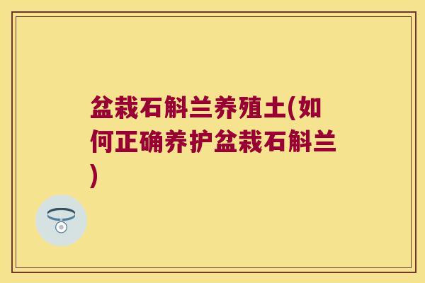 盆栽石斛兰养殖土(如何正确养护盆栽石斛兰) 盆栽石斛兰养殖土(如何正确养护盆栽石斛兰)