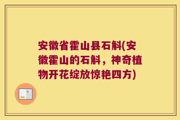安徽省霍山县石斛(安徽霍山的石斛，神奇植物开花绽放惊艳四方)