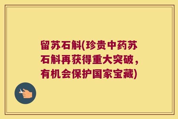 留苏石斛(珍贵中药苏石斛再获得重大突破，有机会保护国家宝藏)