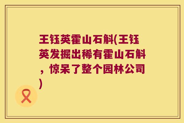 王钰英霍山石斛(王钰英发掘出稀有霍山石斛，惊呆了整个园林公司)