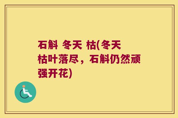 石斛 冬天 枯(冬天枯叶落尽，石斛仍然顽强开花)
