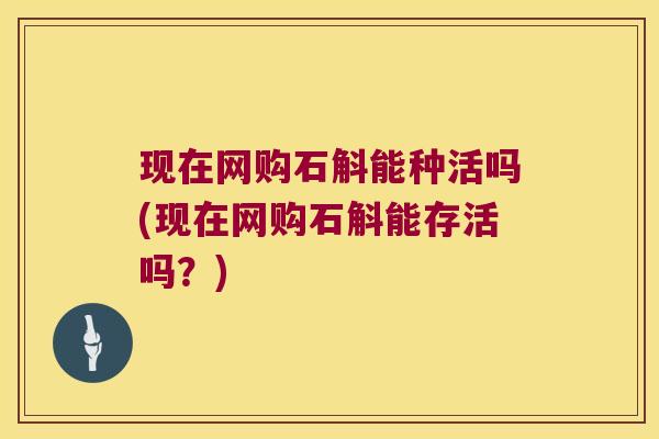 现在网购石斛能种活吗(现在网购石斛能存活吗？)