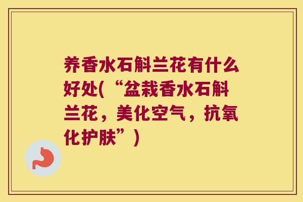养香水石斛兰花有什么好处(“盆栽香水石斛兰花，美化空气，抗氧化护肤”)