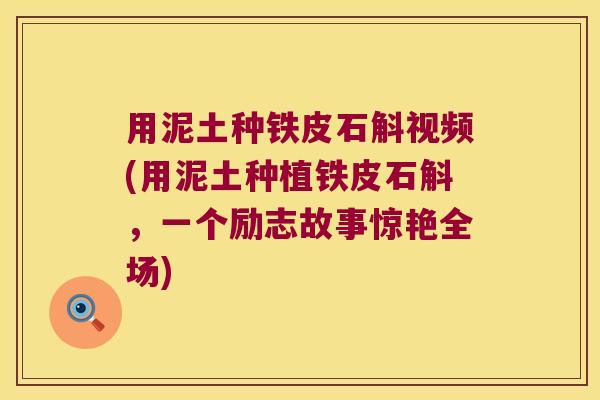 用泥土种铁皮石斛视频(用泥土种植铁皮石斛,一个励志故事惊艳全场) 用泥土种铁皮石斛视频(用泥土种植铁皮石斛,一个励志故事惊艳全场)