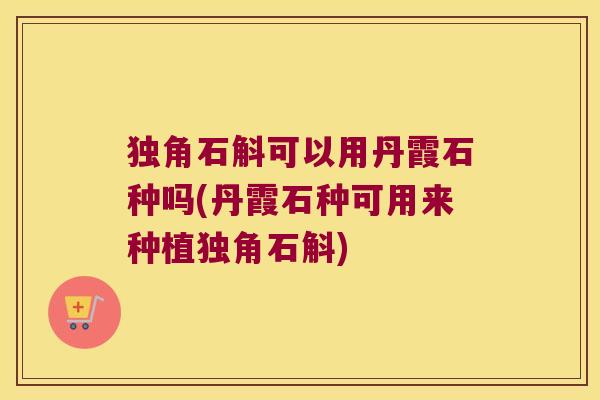独角石斛可以用丹霞石种吗(丹霞石种可用来种植独角石斛)